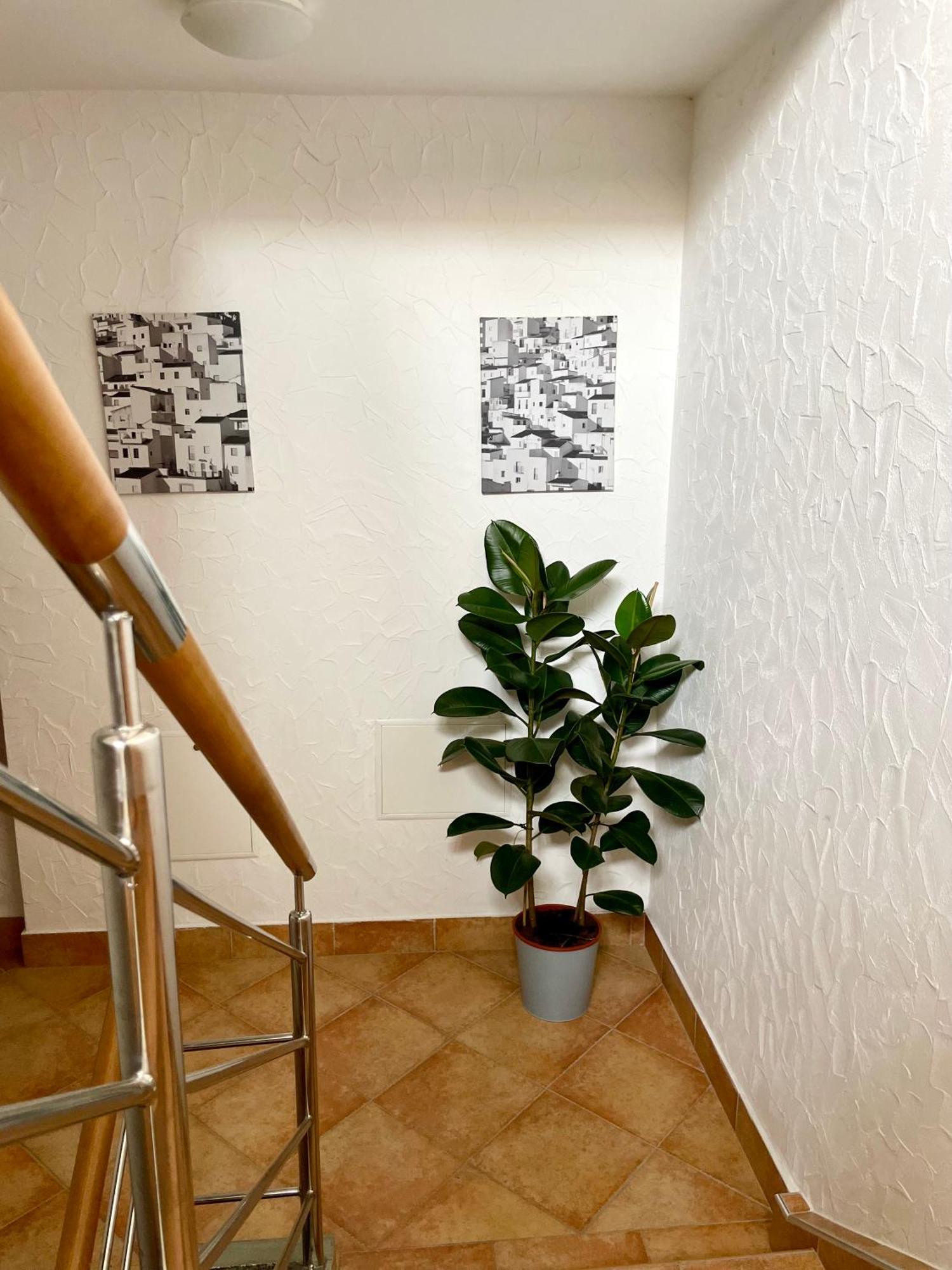 All Seasons Apartments Laško Buitenkant foto